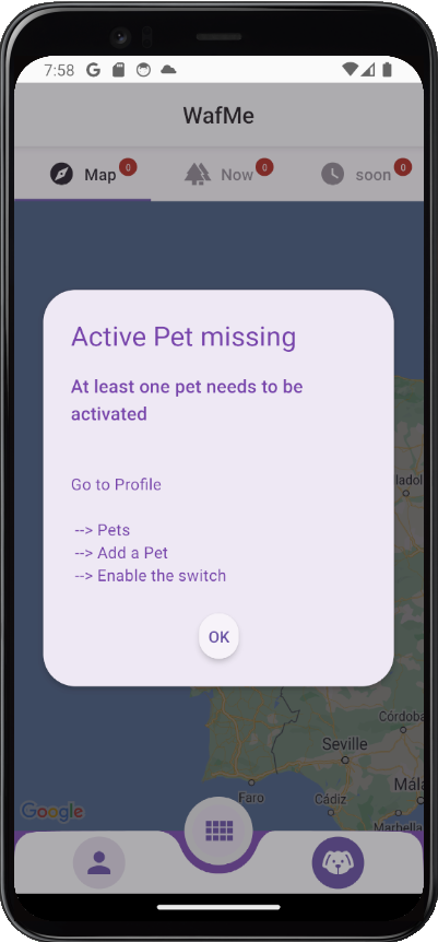 Create your pet to start